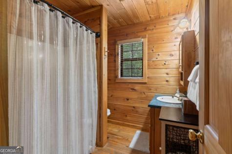 294 Oakwood Trail Mineral Bluff GA 30559