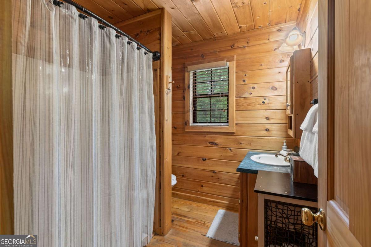 294 Oakwood Trail Mineral Bluff GA 30559
