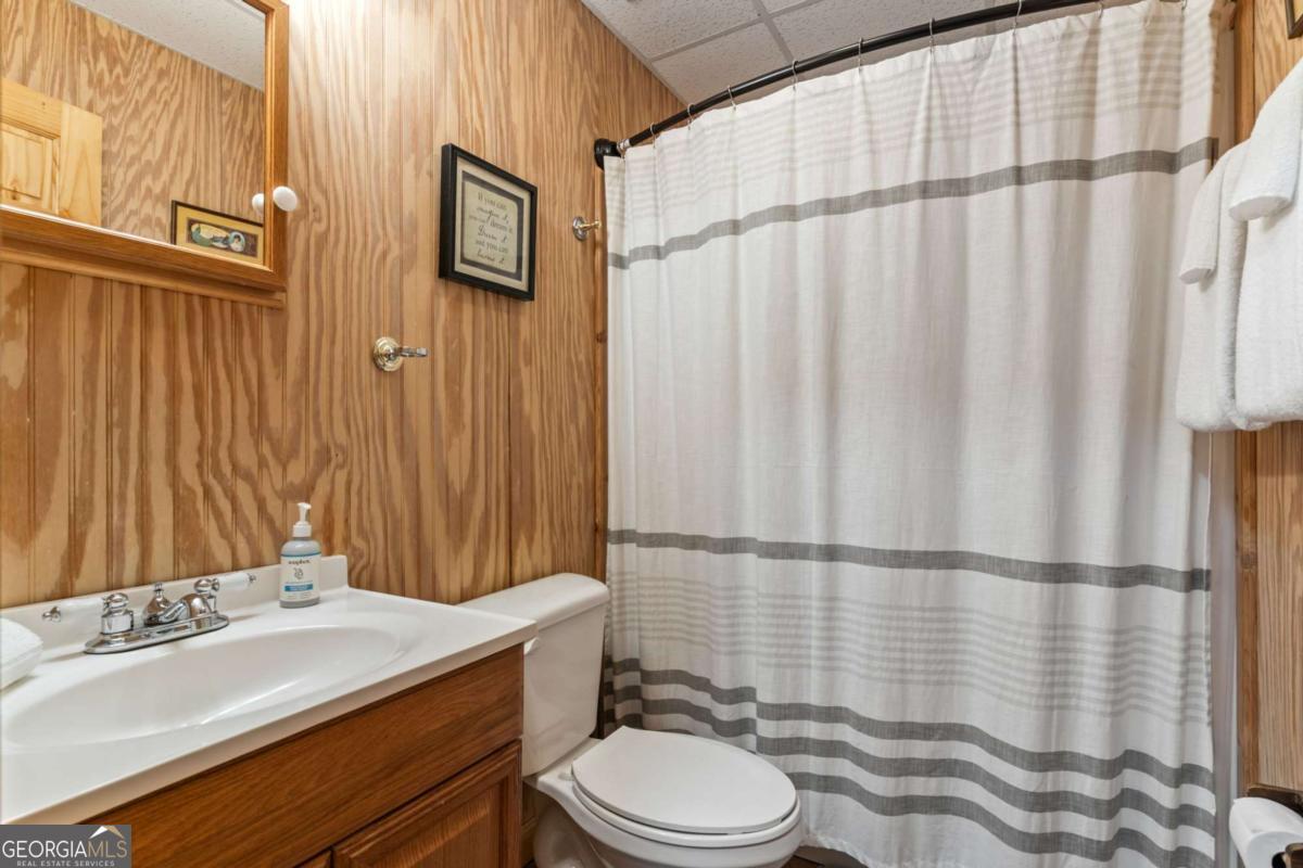294 Oakwood Trail Mineral Bluff GA 30559