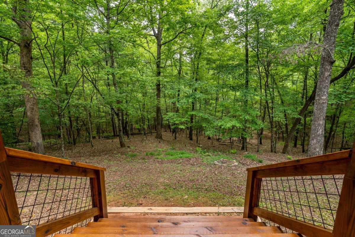 294 Oakwood Trail Mineral Bluff GA 30559