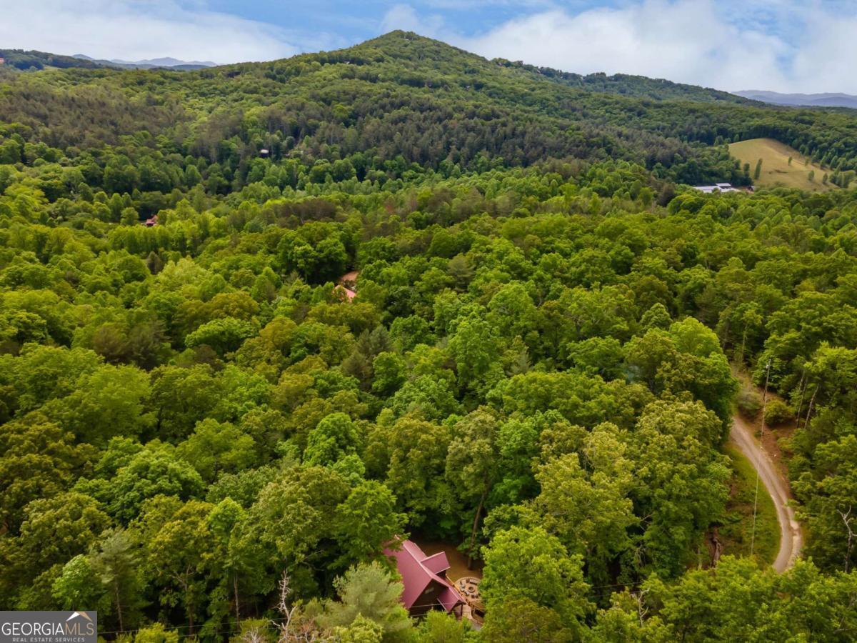 294 Oakwood Trail Mineral Bluff GA 30559