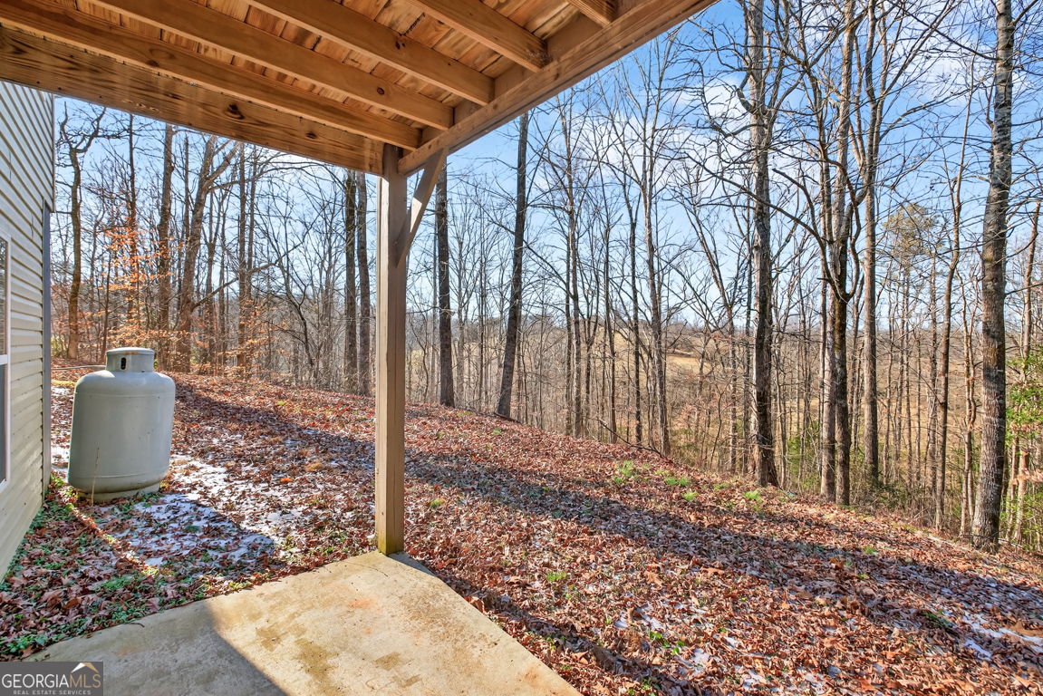 90 Azalea Court Murrayville GA 30564