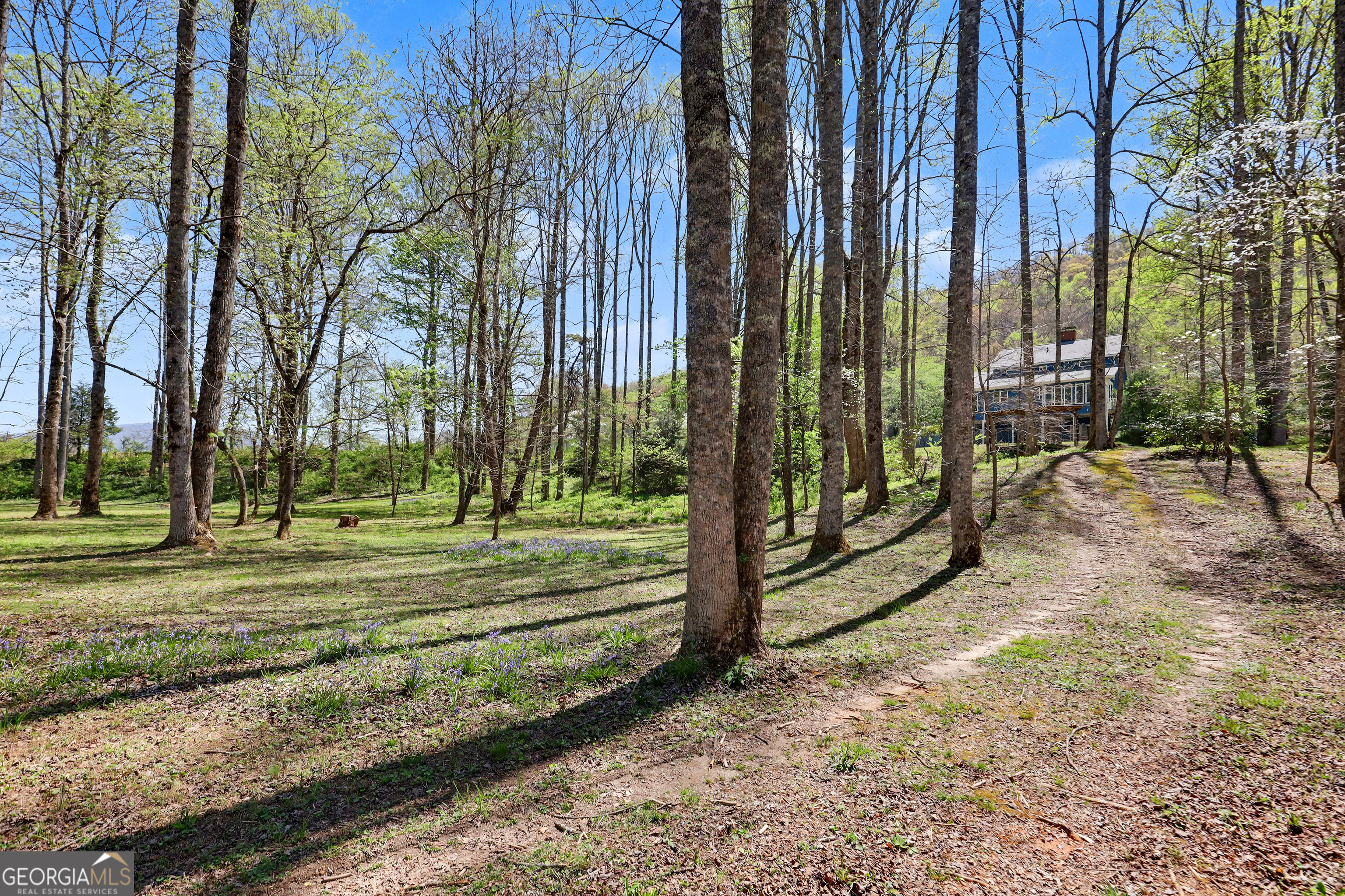 1067 O V Justus Road Rabun Gap GA 30568