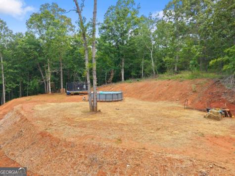 308 Fowler Creek Drive Cleveland GA 30528