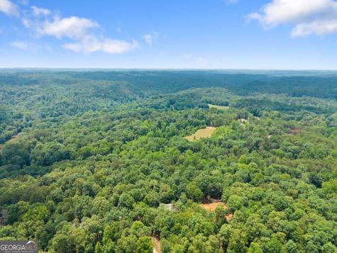 308 Fowler Creek Drive Cleveland GA 30528