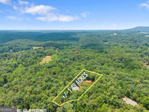 308 Fowler Creek Drive Cleveland GA 30528