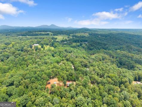 308 Fowler Creek Drive Cleveland GA 30528