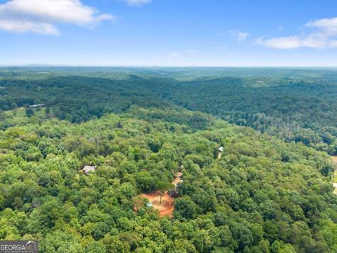 308 Fowler Creek Drive Cleveland GA 30528