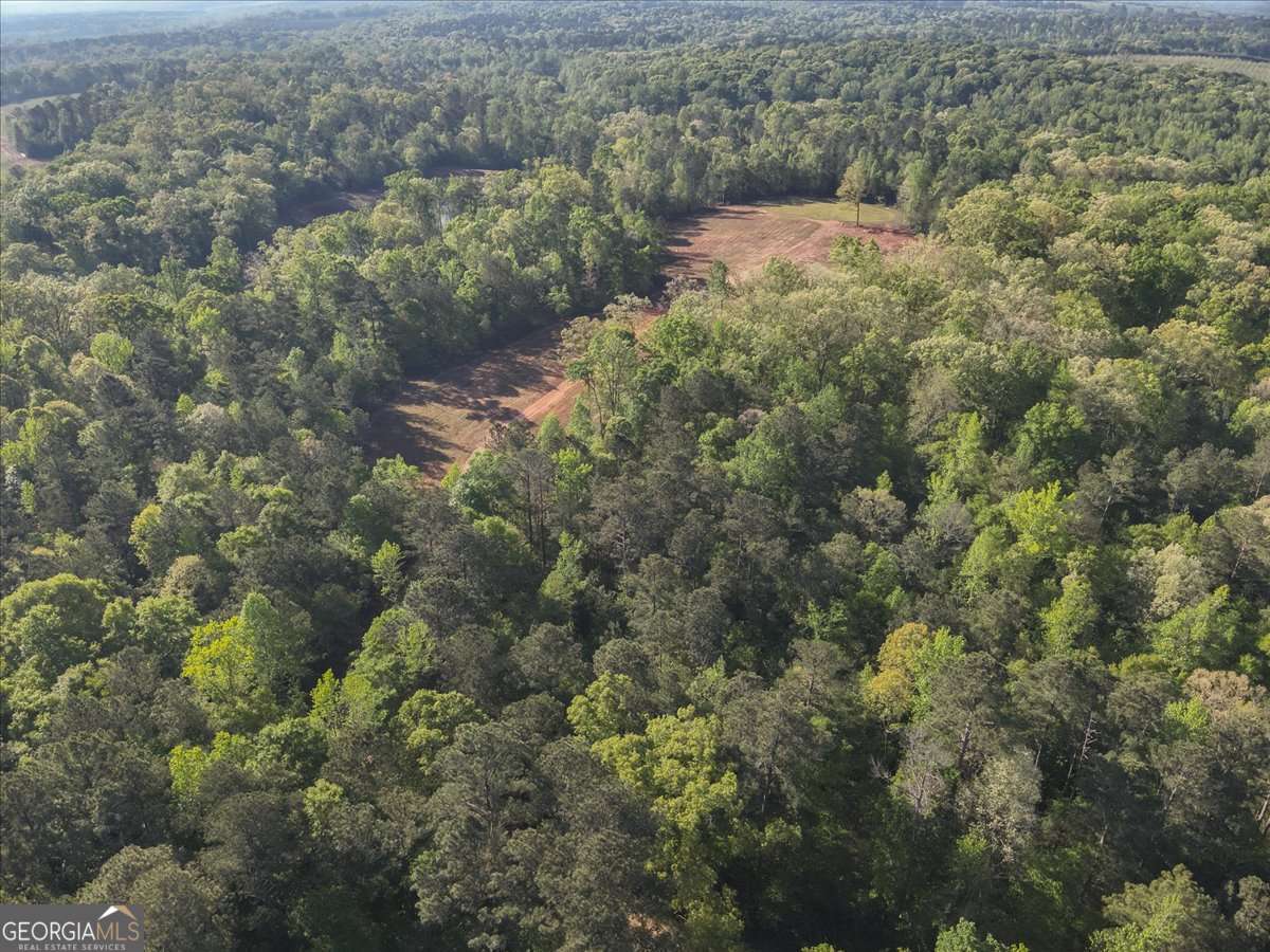 586 Holloway Hollow Monticello GA 31064