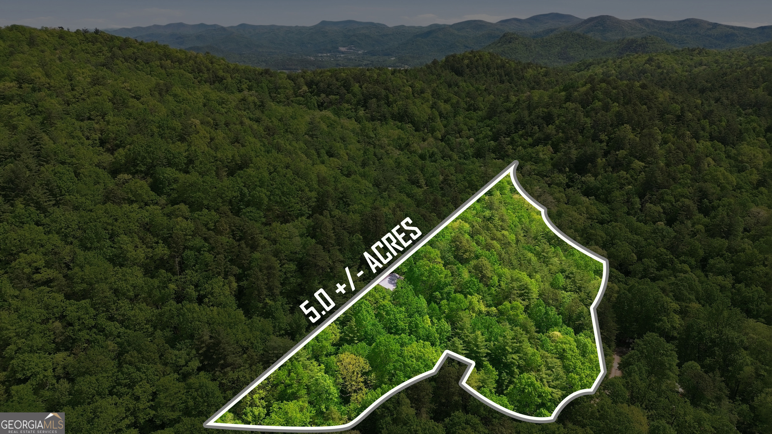 325 Kitchins Lane Clayton GA 30525