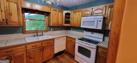 278 N Lake Drive Ellijay GA 30536