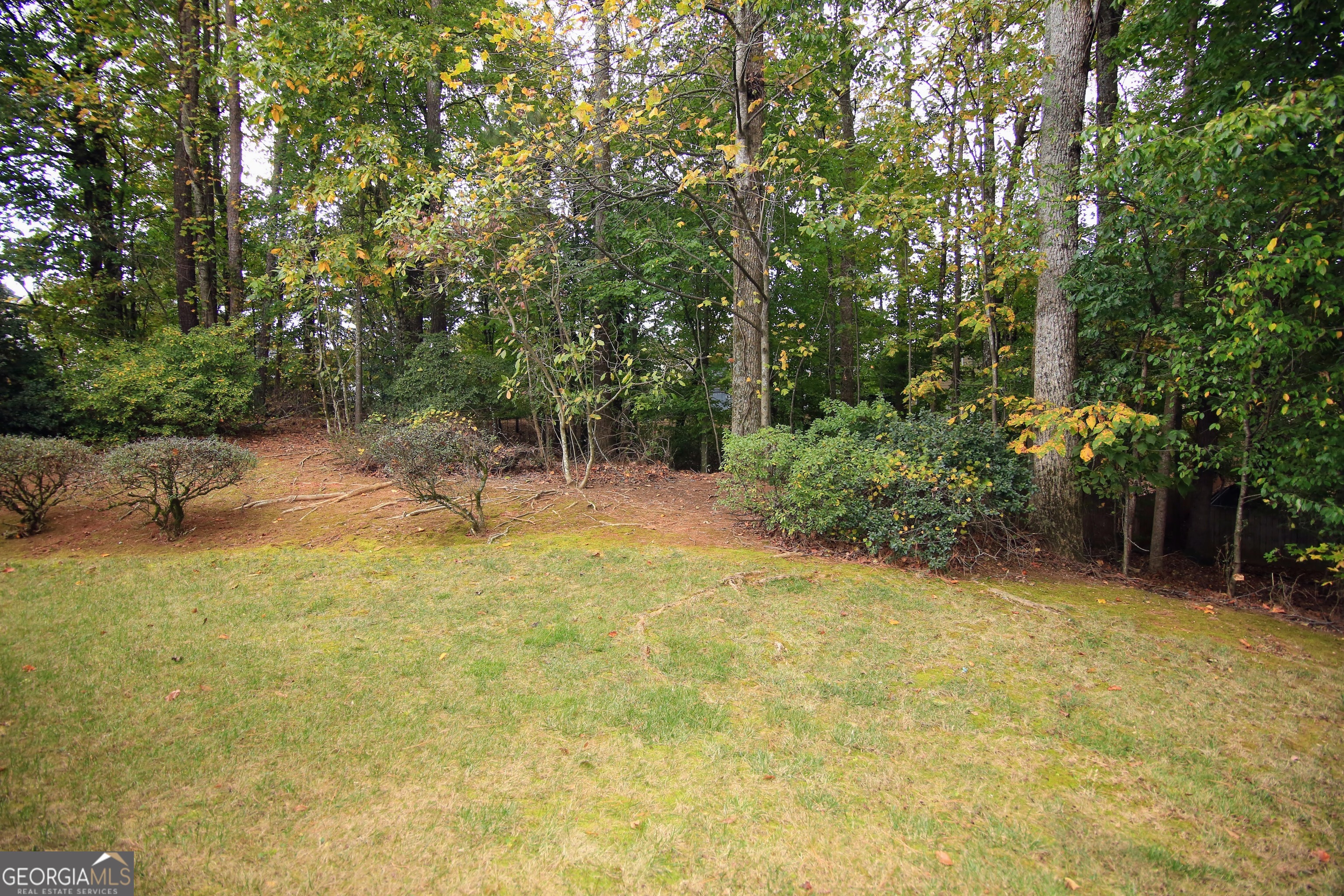 3310 Mcclure Woods Court Duluth GA 30096