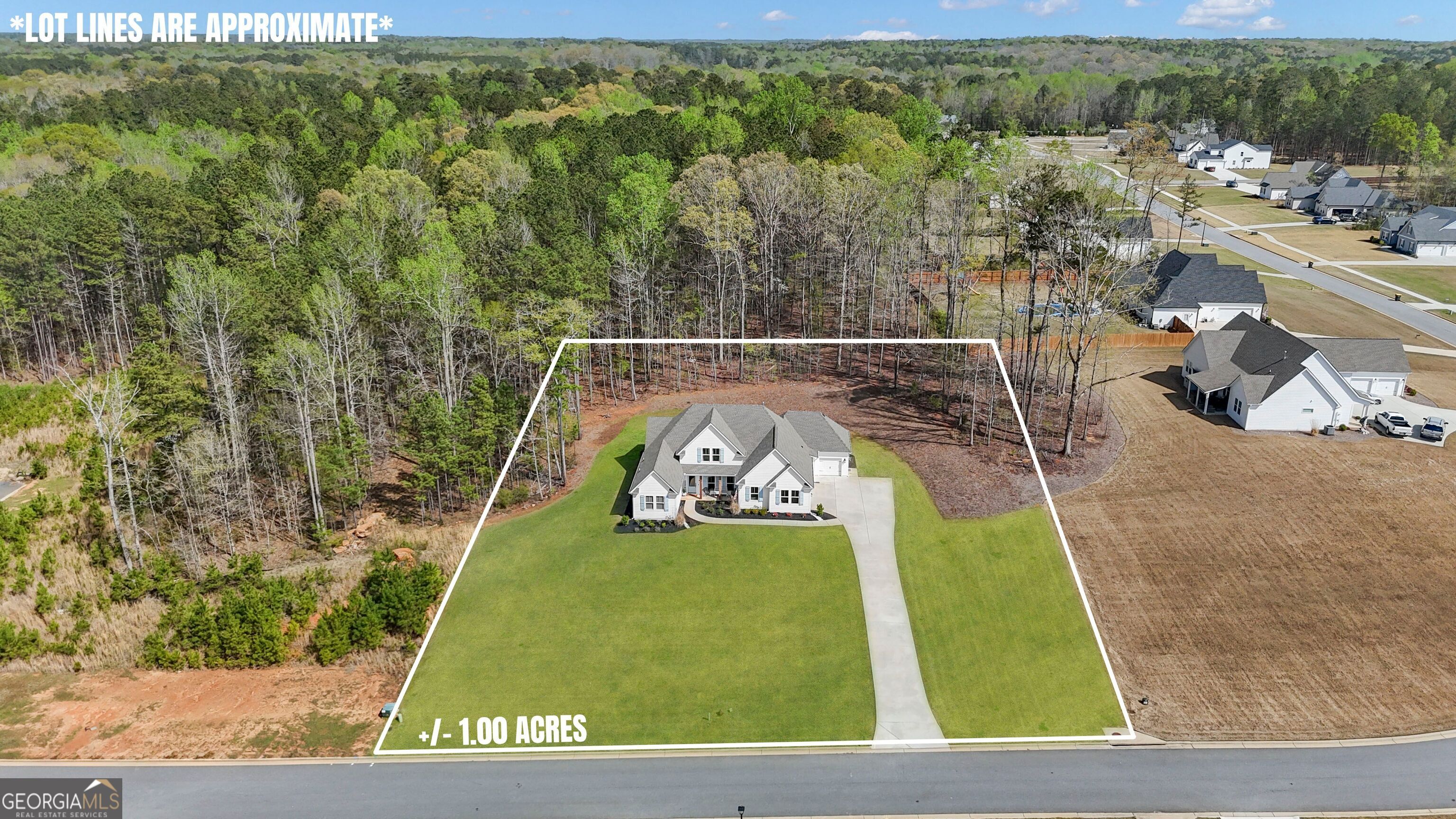 215 Greyfairs Avenue Senoia GA 30276