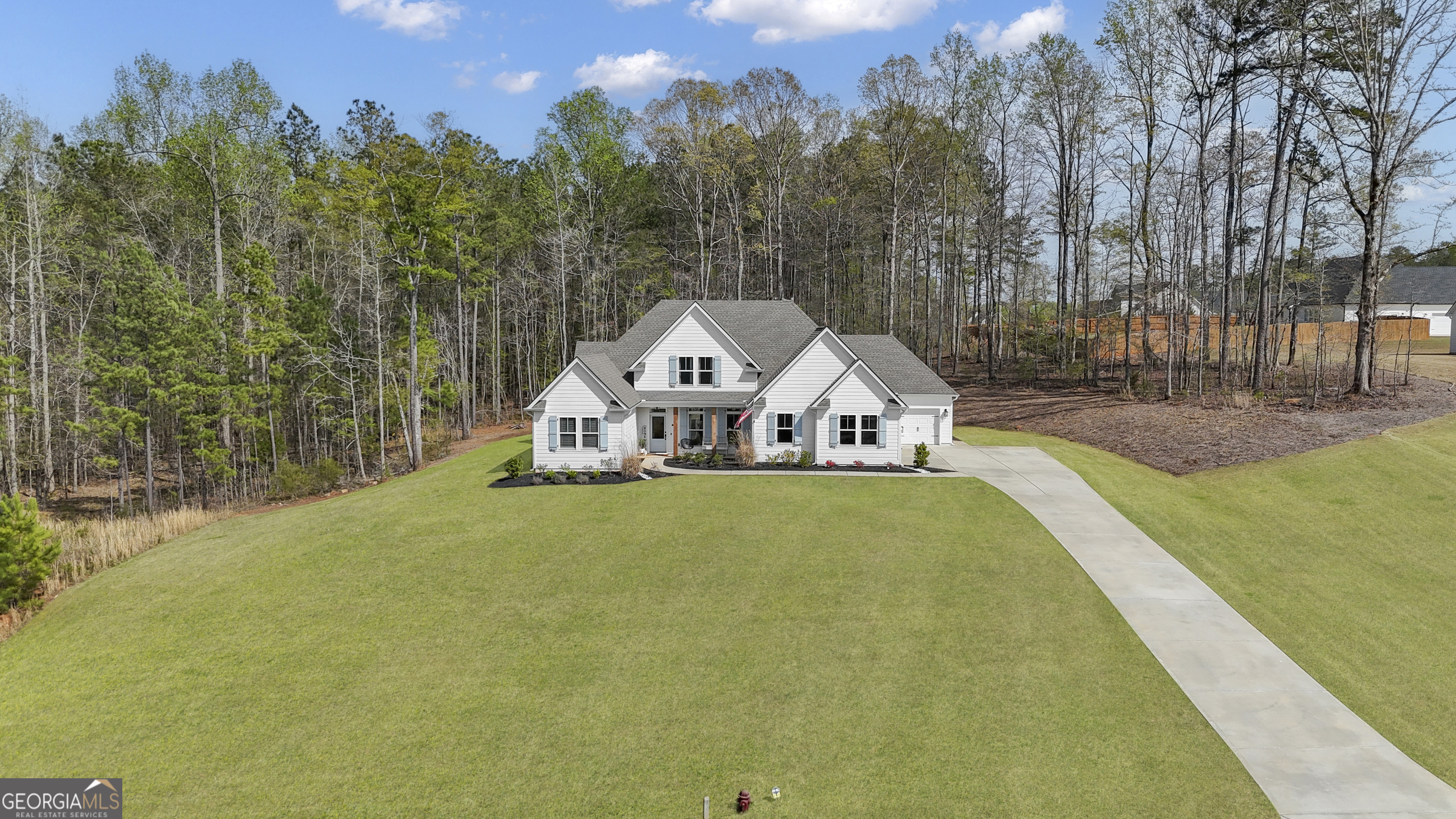 215 Greyfairs Avenue Senoia GA 30276