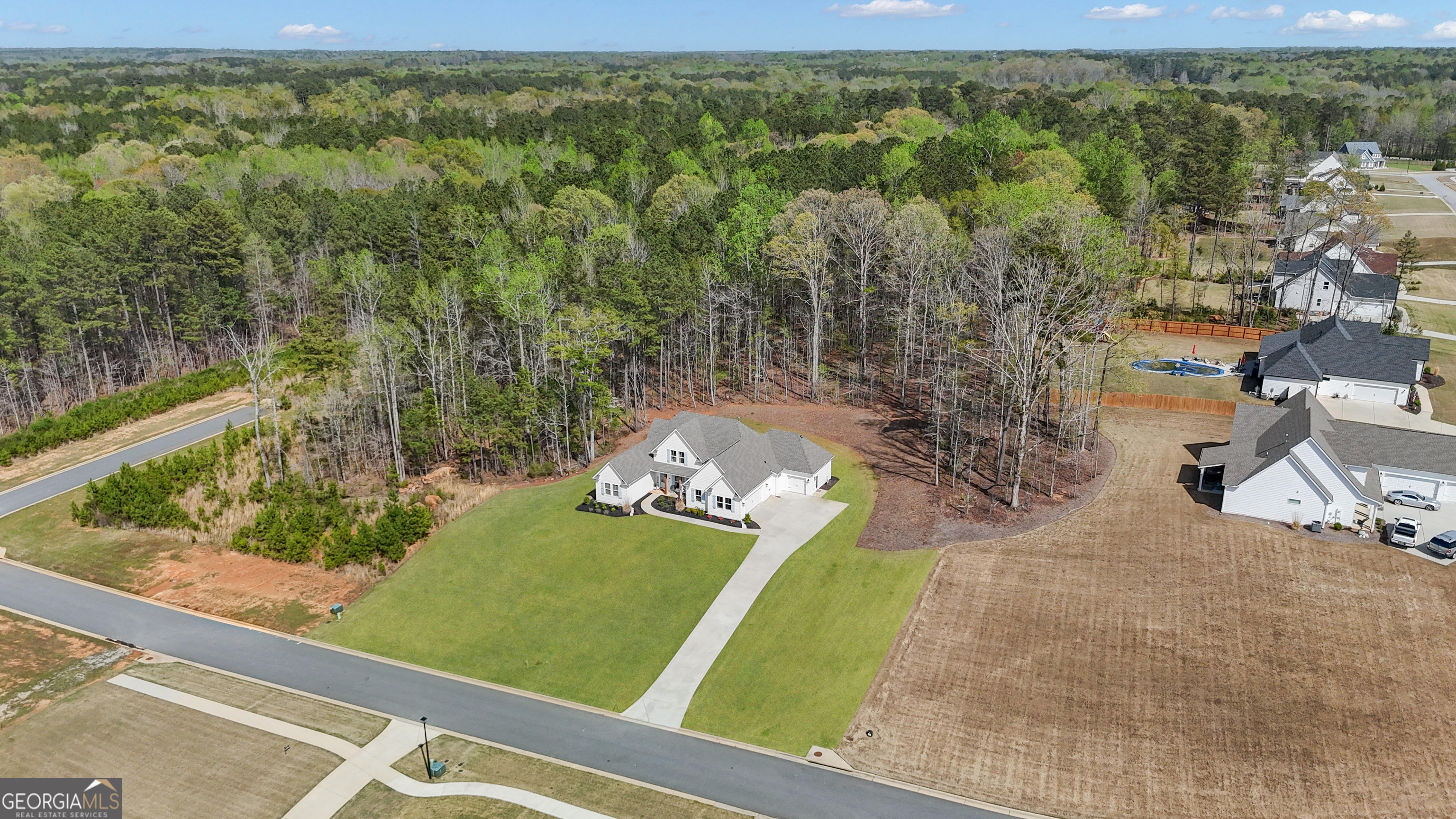 215 Greyfairs Avenue Senoia GA 30276