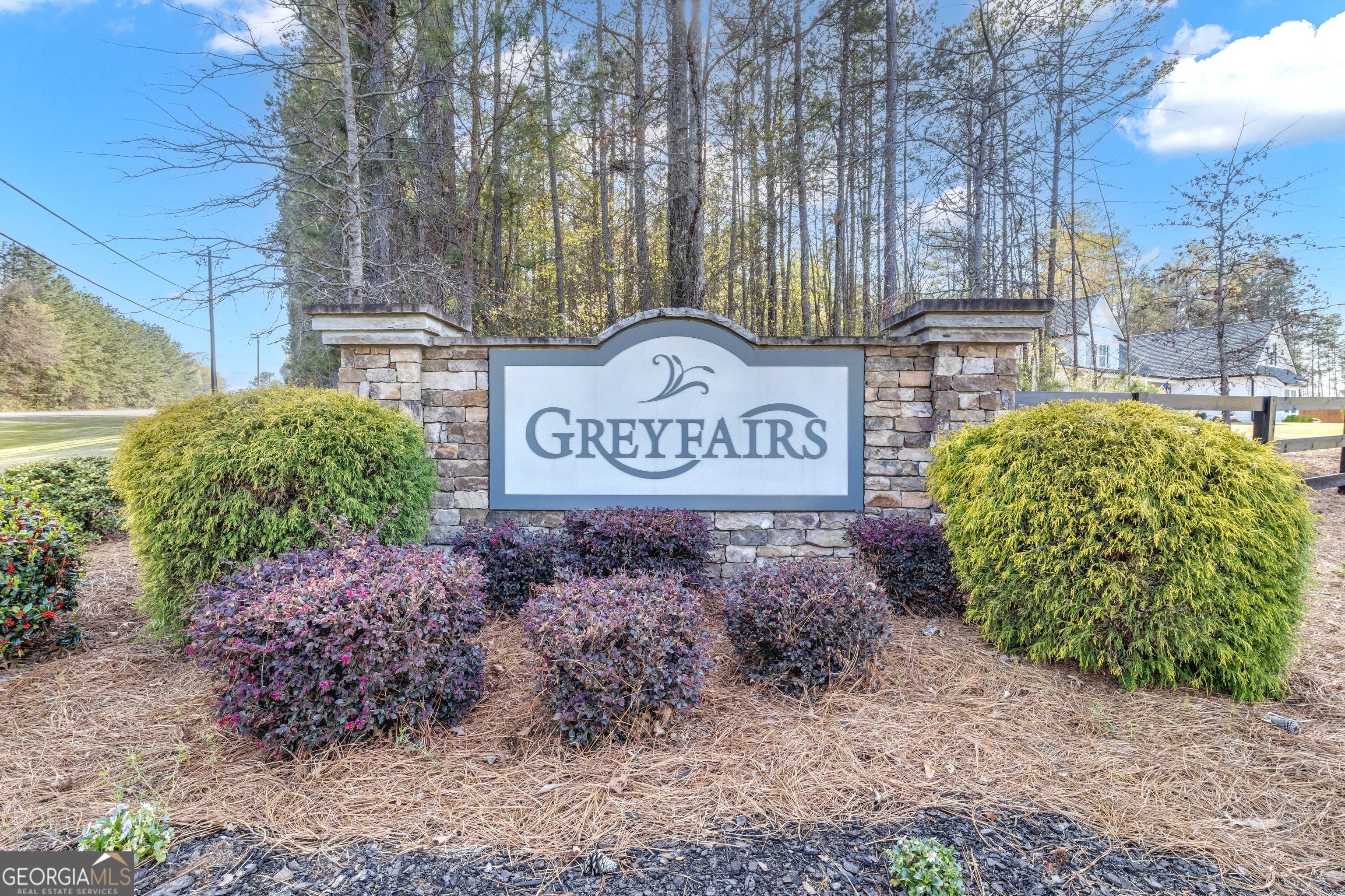 215 Greyfairs Avenue Senoia GA 30276