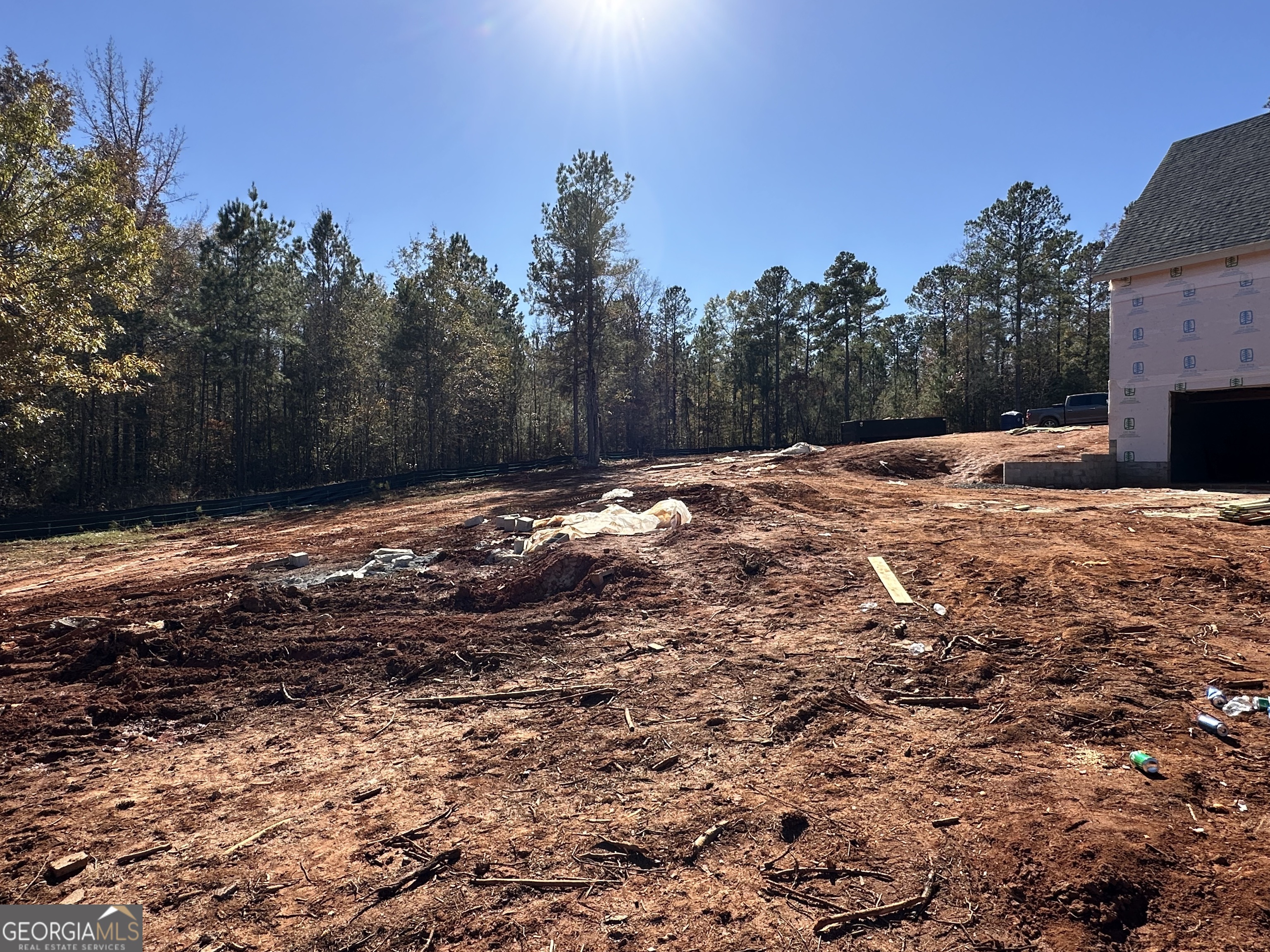 151 Nancy Lane Forsyth GA 31029