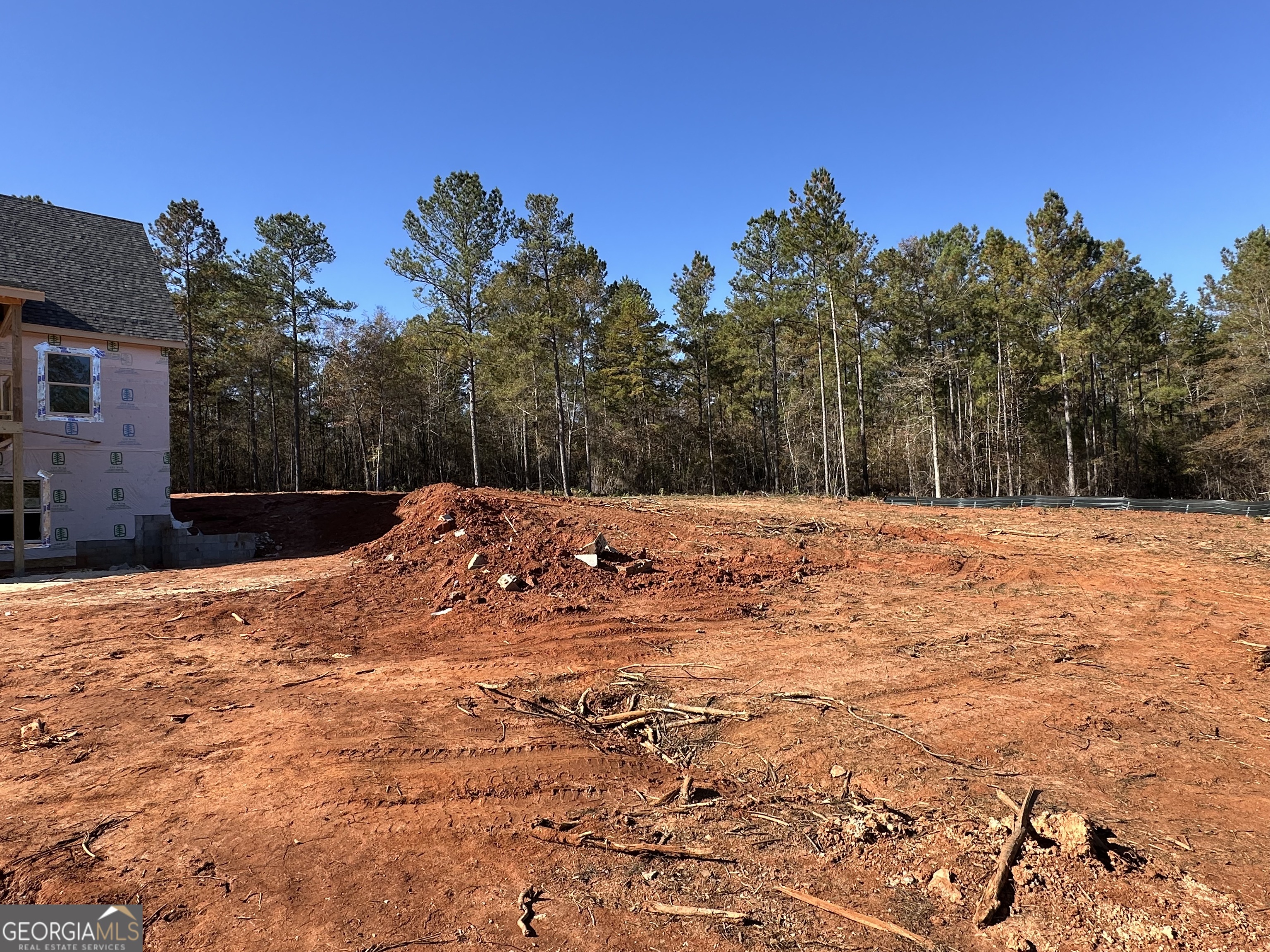 151 Nancy Lane Forsyth GA 31029