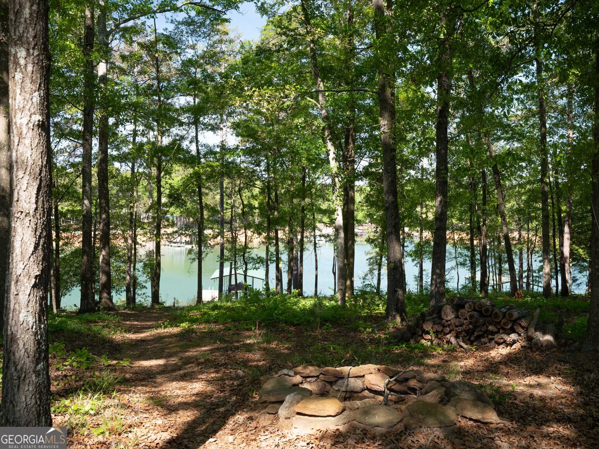 202 Forest Circle Hartwell GA 30643