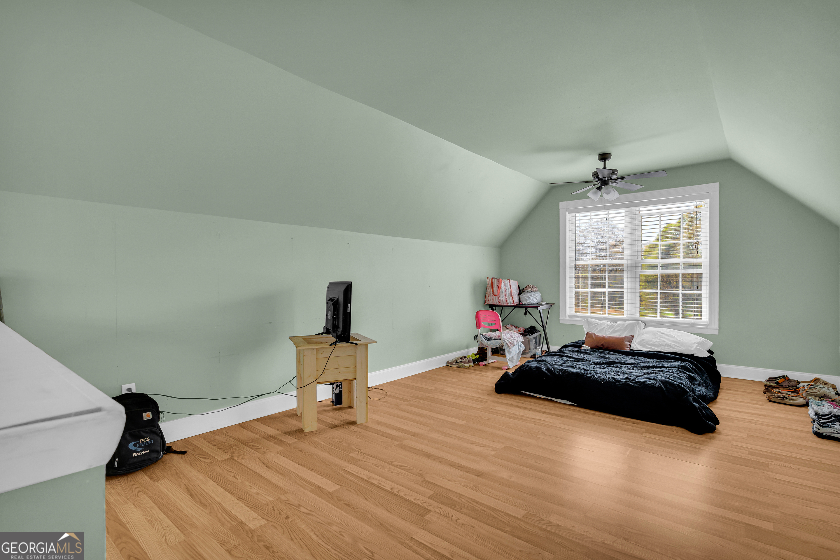 61 Turkey Creek Road Carnesville GA 30521