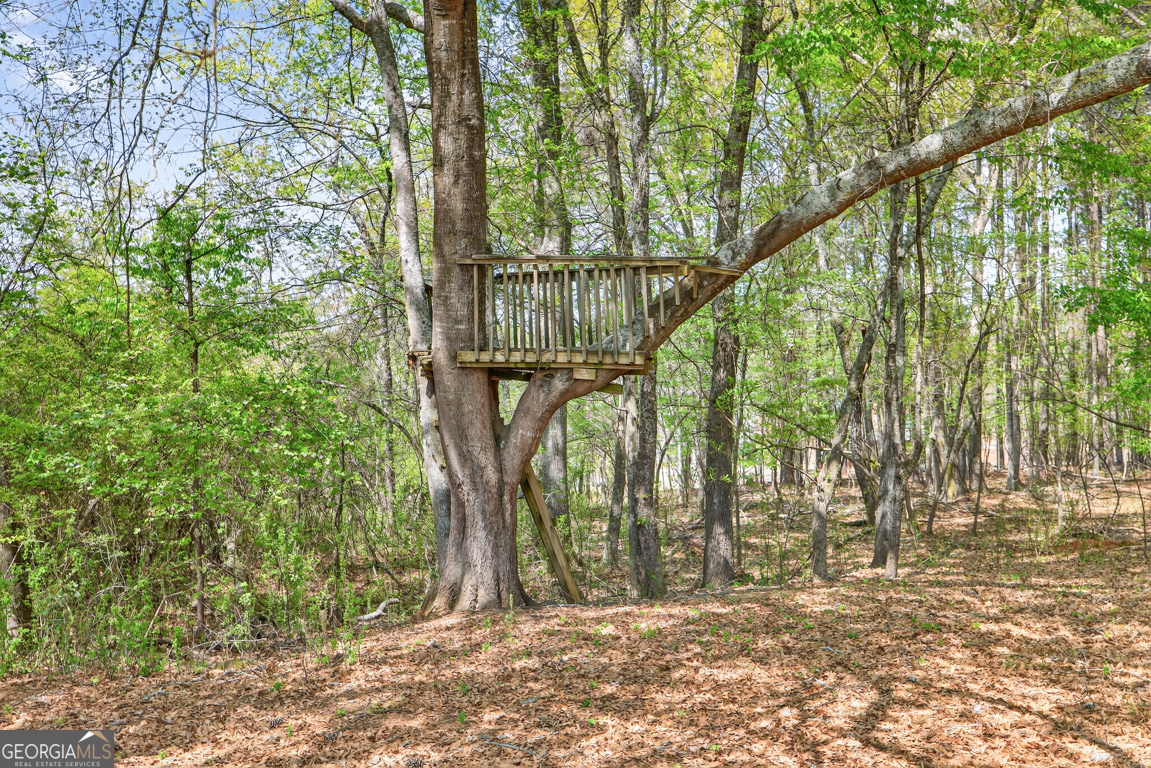 1121 Deer Trail Bishop GA 30621