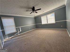 3205 Ivy Station Drive Duluth GA 30096