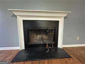 3205 Ivy Station Drive Duluth GA 30096