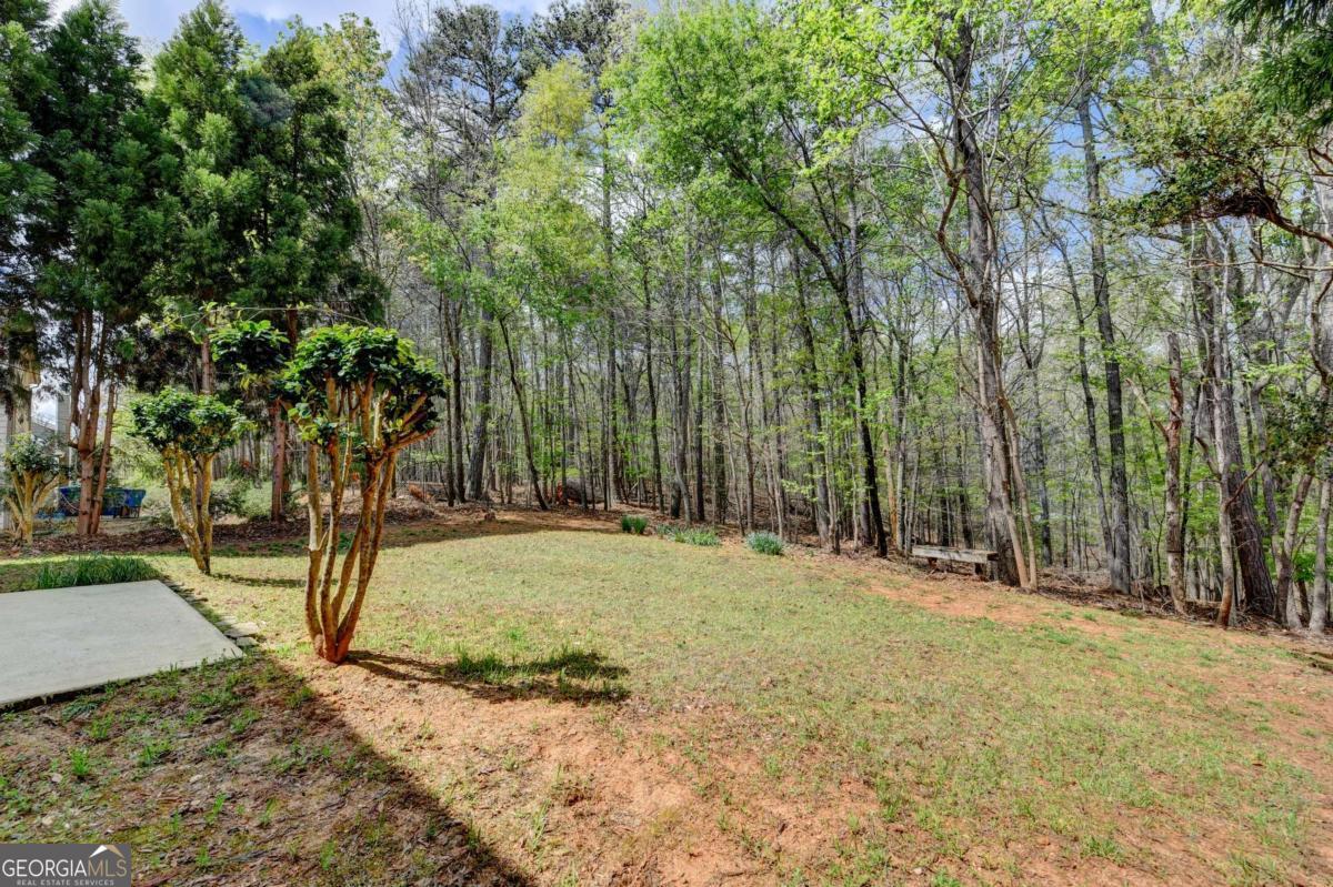 2163 Soque River Drive Duluth GA 30097