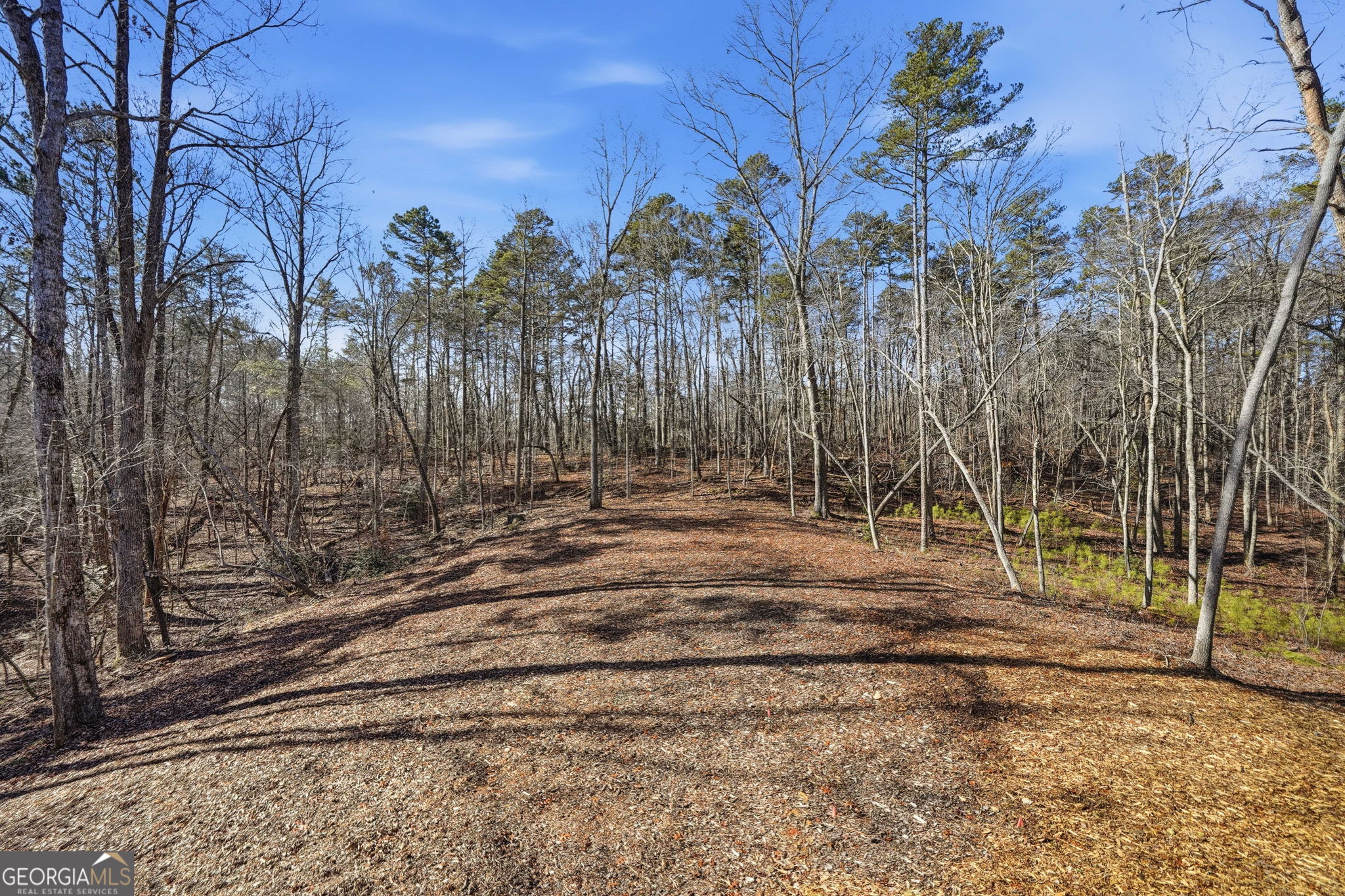 835 Hilton Drive Ellijay GA 30540