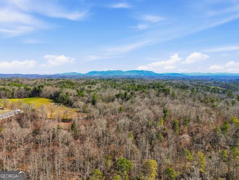 835 Hilton Drive Ellijay GA 30540