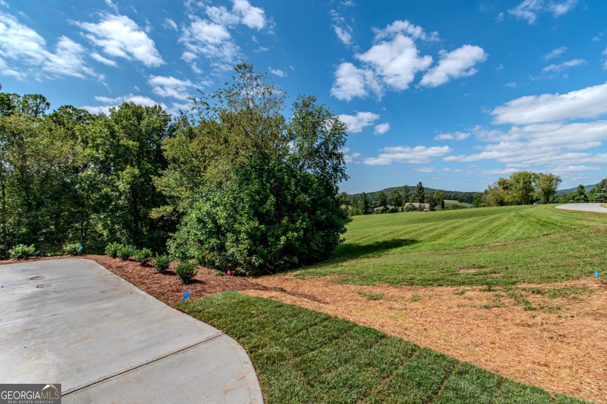 1250 Owen Glen Drive Blairsville GA 30512