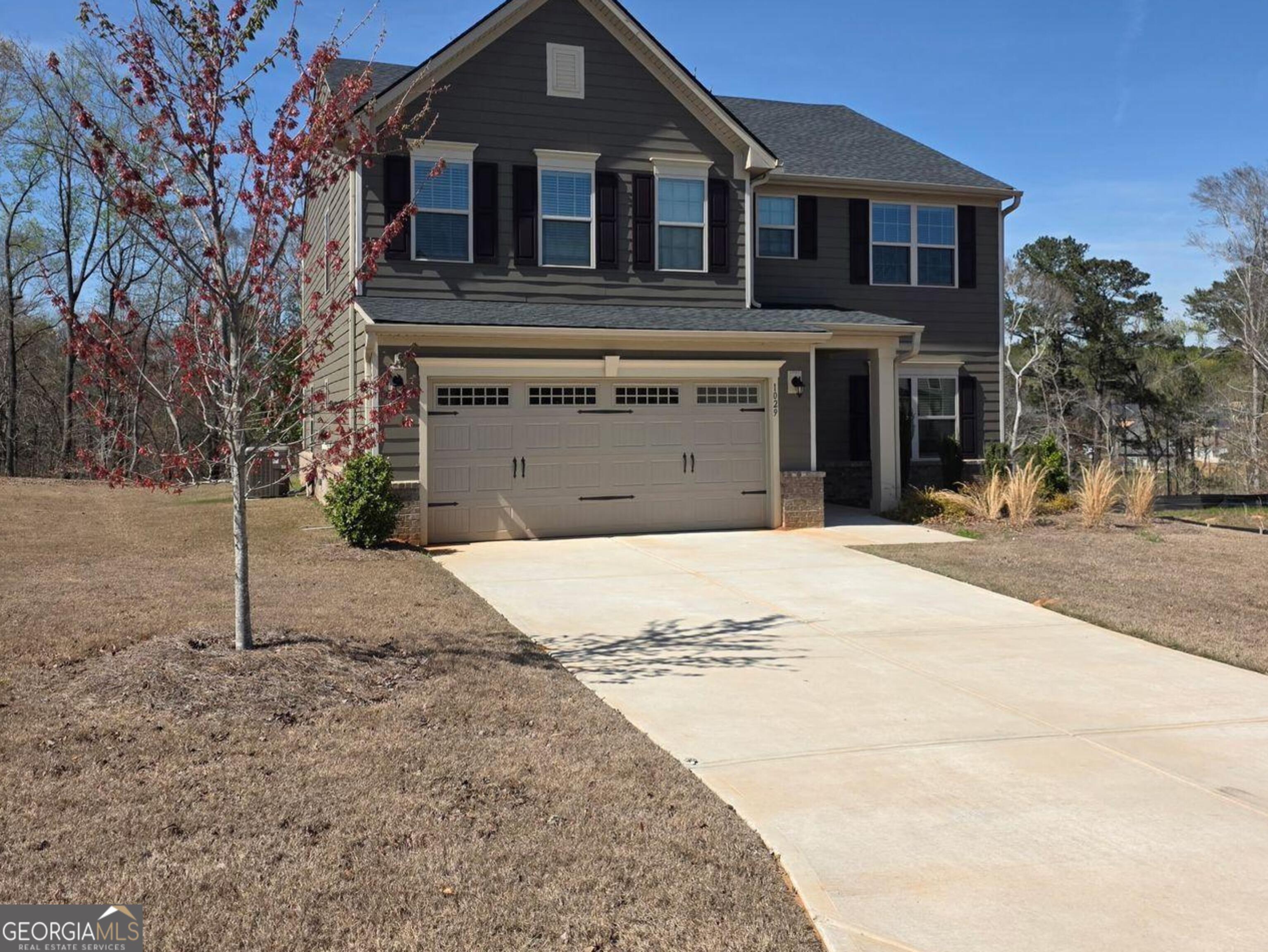 1029 Climbing Rose Way Mcdonough GA 30253