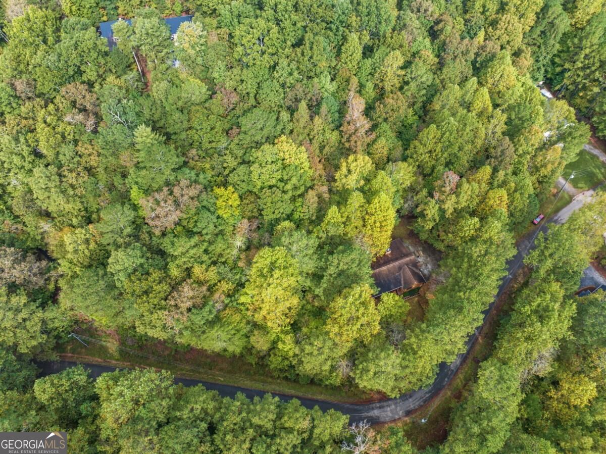 212 Nexus Drive Ellijay GA 30540