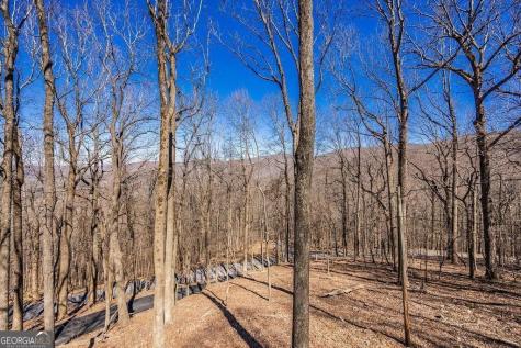 1006 Chestnut Cove Trail Jasper GA 30143