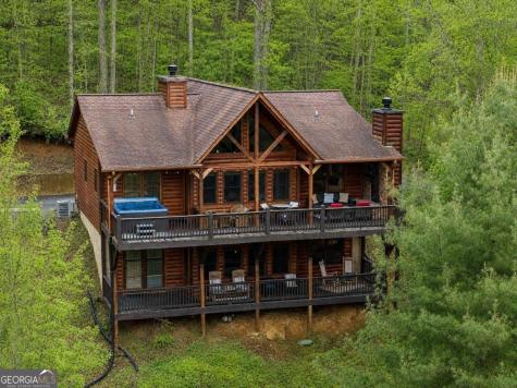 437 Spruce Circle Mineral Bluff GA 30559
