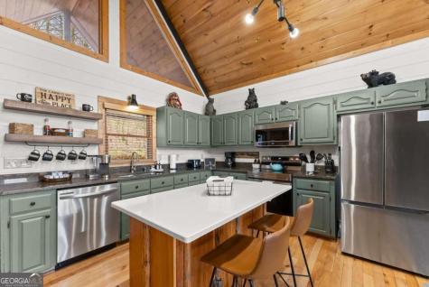 437 Spruce Circle Mineral Bluff GA 30559