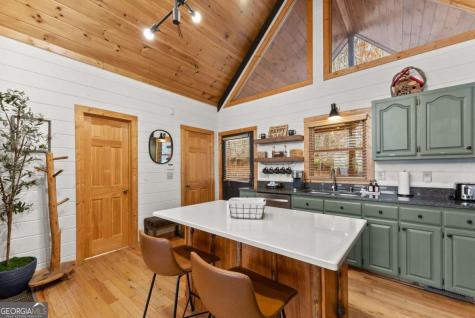 437 Spruce Circle Mineral Bluff GA 30559
