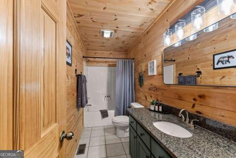 437 Spruce Circle Mineral Bluff GA 30559
