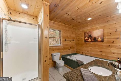 437 Spruce Circle Mineral Bluff GA 30559
