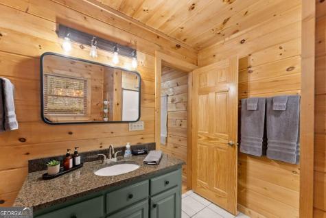 437 Spruce Circle Mineral Bluff GA 30559