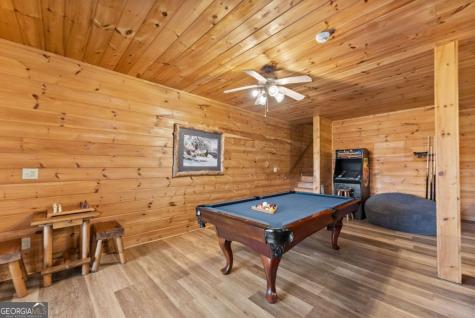 437 Spruce Circle Mineral Bluff GA 30559