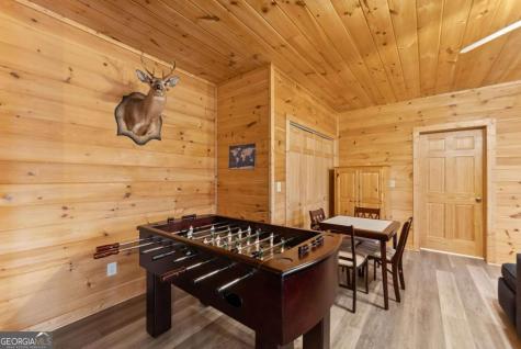 437 Spruce Circle Mineral Bluff GA 30559