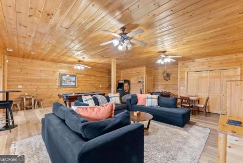 437 Spruce Circle Mineral Bluff GA 30559