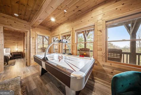 437 Spruce Circle Mineral Bluff GA 30559