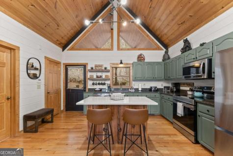 437 Spruce Circle Mineral Bluff GA 30559