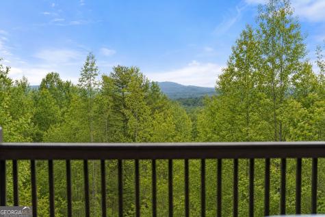 437 Spruce Circle Mineral Bluff GA 30559