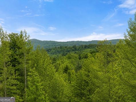 437 Spruce Circle Mineral Bluff GA 30559