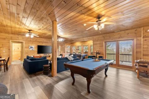 437 Spruce Circle Mineral Bluff GA 30559
