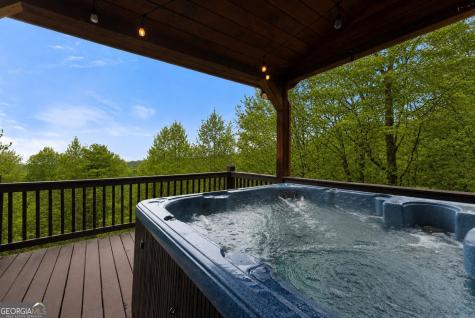 437 Spruce Circle Mineral Bluff GA 30559