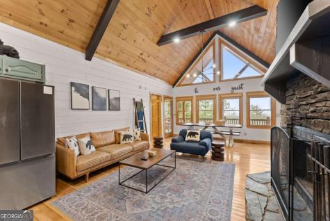 437 Spruce Circle Mineral Bluff GA 30559